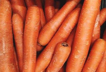 Bild zeigt Karotten